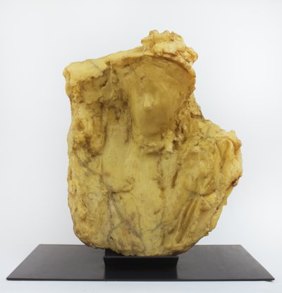 Lady with a Veil by Medardo Rosso