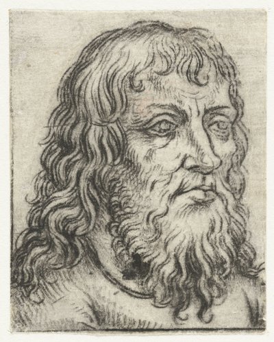 Head of an Old Man (Study Heads series) by Meester van het Amsterdamse Kabinet