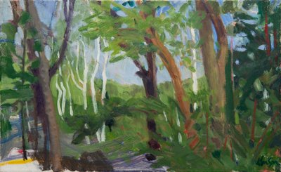 A Stand of Birch by Megan Williamson