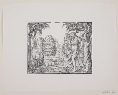 John the Baptist in the Desert by Melchior Lorck