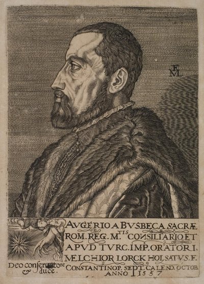 Portrait of Ogier Ghiselin de Busbecq, Imperial Envoy by Melchior Lorck