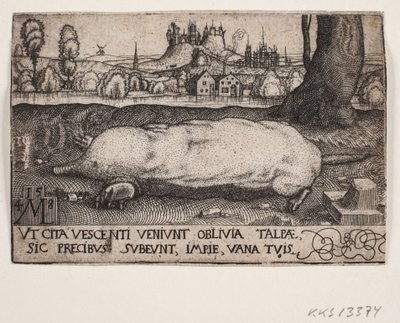 The Mole by Melchior Lorck