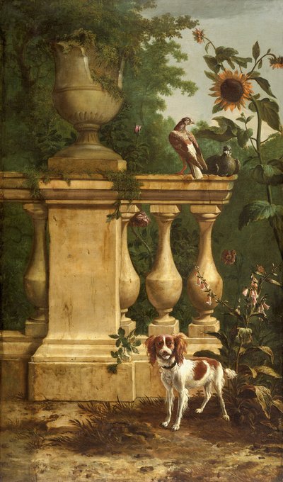 Pigeons and a Dog in a Garden, c1660-1690 by Melchior d