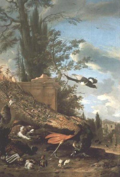 A Peacock and a Spaniel in the Garden of a Villa by Melchior de Hondecoeter