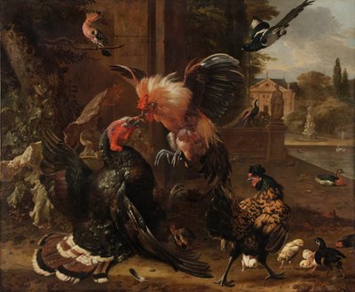 A Rooster and Turkey Fighting by Melchior de Hondecoeter