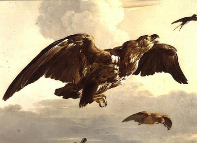 An Eagle and a Swallow in Flight by Melchior de Hondecoeter