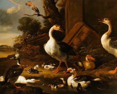 Chinese and Egyptian Geese and other birds in a Landscape with Ruins nearby by Melchior de Hondecoeter