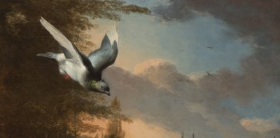Detail from Menagerie, c.1680 by Melchior de Hondecoeter