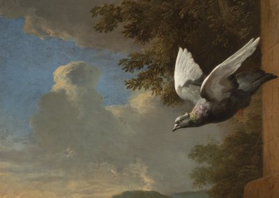 Detail from Menagerie (detail) by Melchior de Hondecoeter