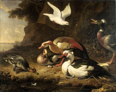 Ducks by Melchior de Hondecoeter