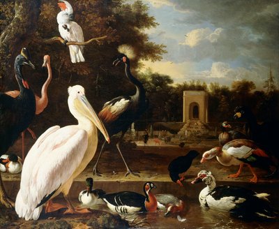 Many Different Types of Birds at a Pool in a Park by Melchior de Hondecoeter