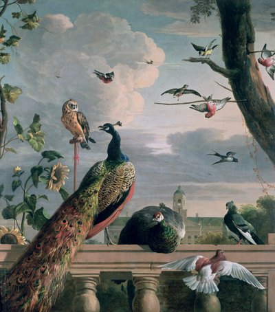 Palace of Amsterdam with Exotic Birds by Melchior de Hondecoeter