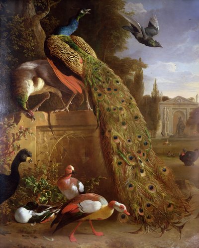 Peacock and a Peahen on a Plinth, with Ducks and Other Birds in a Park by Melchior de Hondecoeter