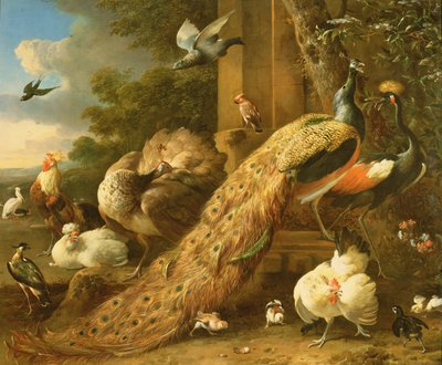 Peacock, Parakeet, Pelican, Crane and Poultry by Melchior de Hondecoeter