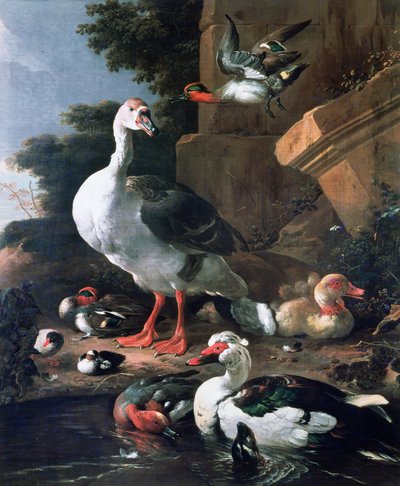 Waterfowl in a classical landscape by Melchior de Hondecoeter