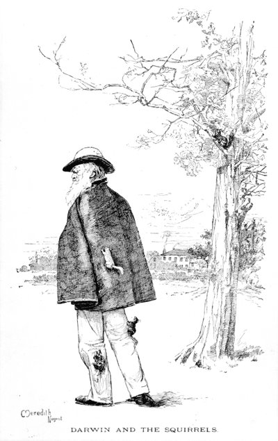 Darwin and the Squirrels, illustration from Charles Darwin, His Life and Work by Charles Frederick Holder by Meredith Nugent