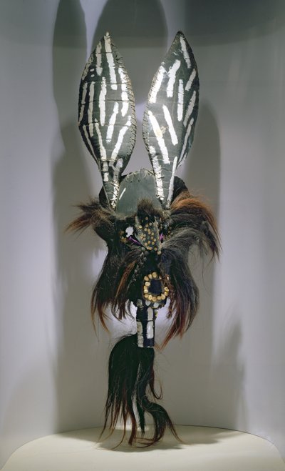 Costume mask used by the Zapotec peoples of the Oaxaca region of Mexico by Mexican School