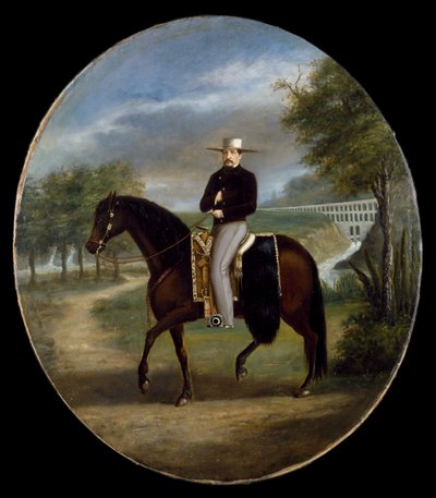 Don Manuel Romero de Terreros Villamil by Mexican School