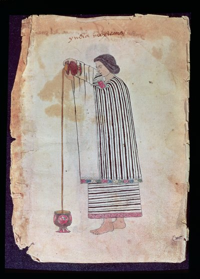 Mexican Indian Preparing Chocolate, from the Codex Tuleda, 1553 by Mexican School