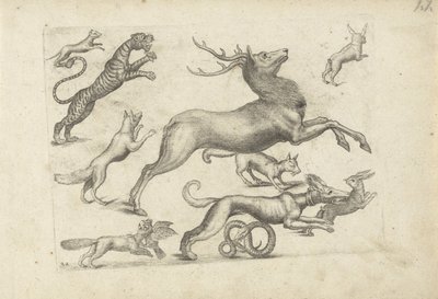Study Sheet with Drawing Examples: Various Animals by Michael Snijders (attributed to)