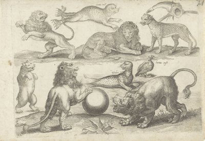 Study Sheet with Drawing Examples: Various Animals by Michael Snijders