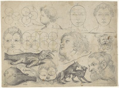 Study Sheet with Drawing Examples: Figures, Animals by Michael Snijders