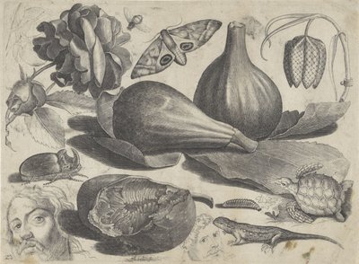 Study Sheet with Drawing Examples: Heads, Animals, and Fruits (series title: Drawing Examples) by Michael Snijders