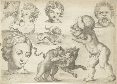 Study Sheet with Drawing Examples: Heads and Fighting Animals (series title: Drawing Examples) by Michael Snijders