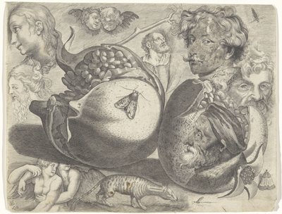 Study sheet with drawing examples: heads, figures, fruits, animals by Michael Snijders