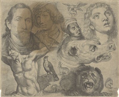Study Sheet with Drawing Examples: Heads, Torso, and Animals by Michael Snijders