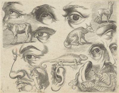 Study Sheet with Drawing Examples: Eyes, Heads, and Animals (Series Title: Drawing Examples) by Michael Snijders
