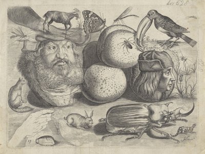 Study Sheet with Drawing Examples: Portraits, Animals, Insects by Michael Snijders