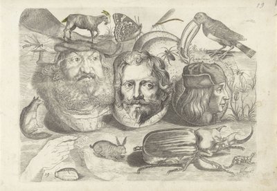 Study Sheet with Drawing Examples: Portraits, Animals, Insects by Michael Snijders