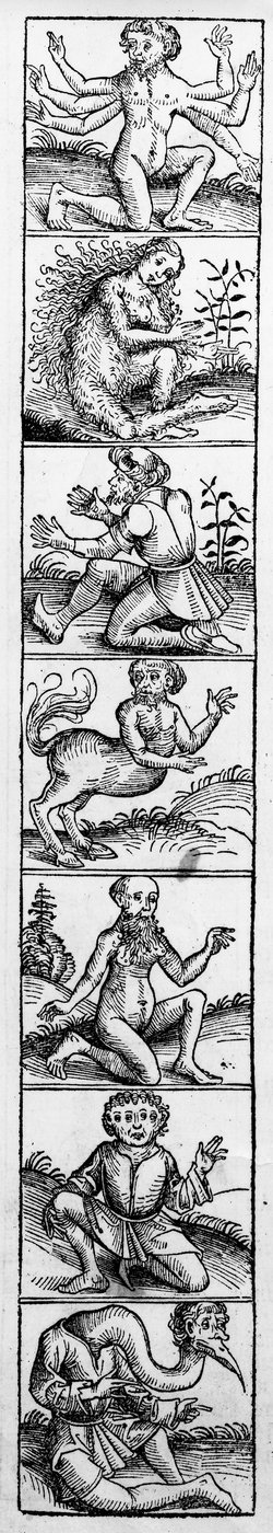 Monsters from the 