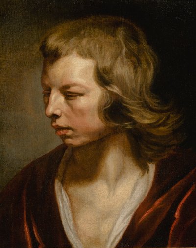 Study of a Boy by Michaelina Wautier