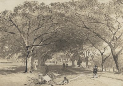 Avenue and Entrance to St. James Barracks by Michel Jean Cazabon