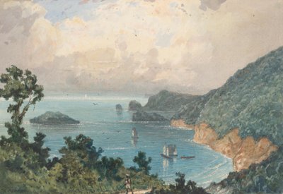 North Coast of Trinidad, from the North Post by Michel Jean Cazabon