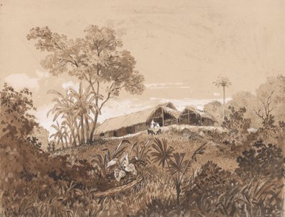 The Cottage, Mount Tamana by Michel Jean Cazabon