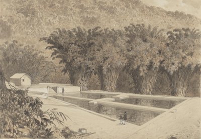 The Reservoir at Maraval by Michel Jean Cazabon