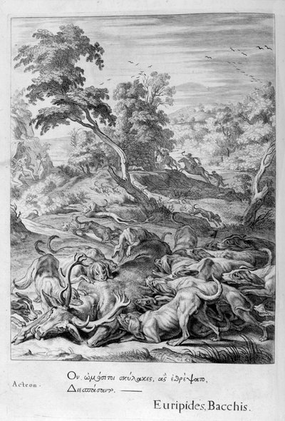 Actaeon Turned into a Stag and Devoured by His Hounds by Michel de Marolles