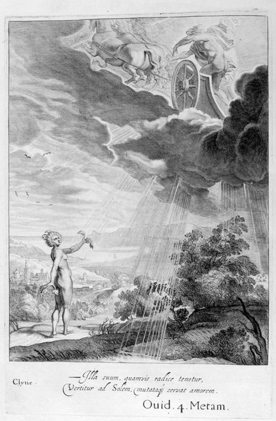Clytie Transformed into a Sunflower, 1655 by Michel de Marolles