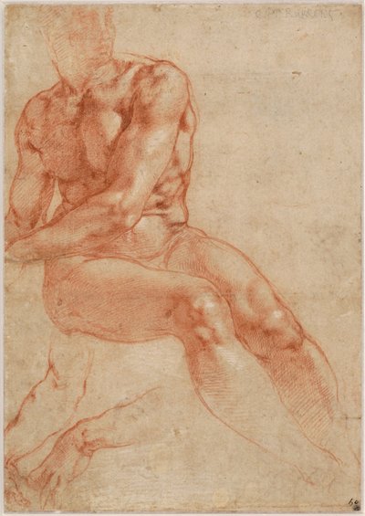 Seated Young Male Nude and Two Arm Studies (recto), c. 1510-11 by Michelangelo