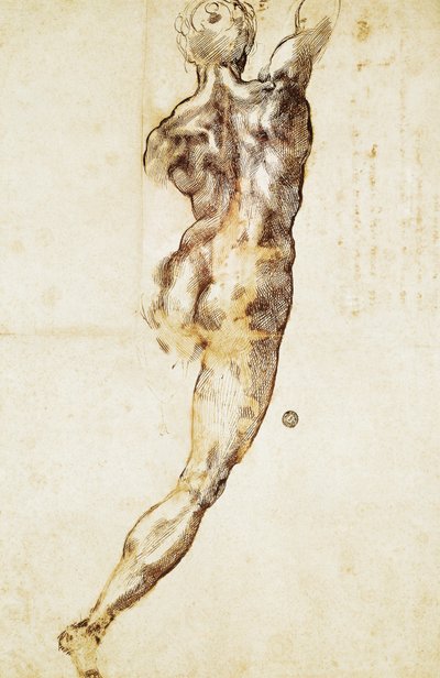 A male nude seen from behind, study for the Battle of Cascina by Michelangelo Buonarroti