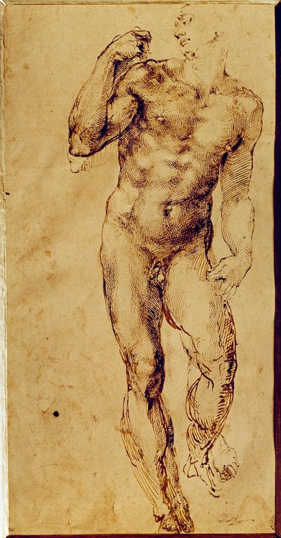 Study of a Standing Nude Man by Michelangelo Buonarroti