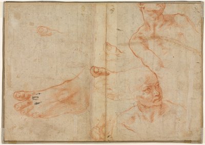Figure Studies for the Sistine Ceiling (verso) by Michelangelo Buonarroti