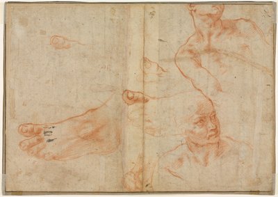 Figure Studies for the Sistine Ceiling by Michelangelo Buonarroti