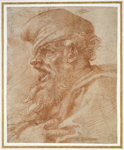 Head of a Bearded Man Shouting, c.1525 by Michelangelo Buonarroti