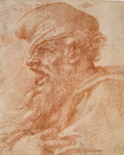Head of a Bearded Man Shouting by Michelangelo Buonarroti