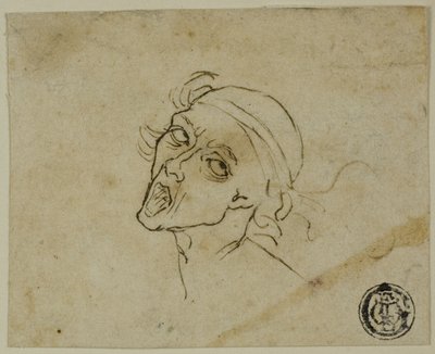 Male Head by Michelangelo Buonarroti