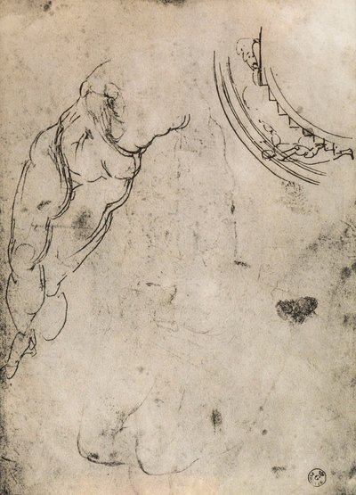 Male Legs by Michelangelo Buonarroti